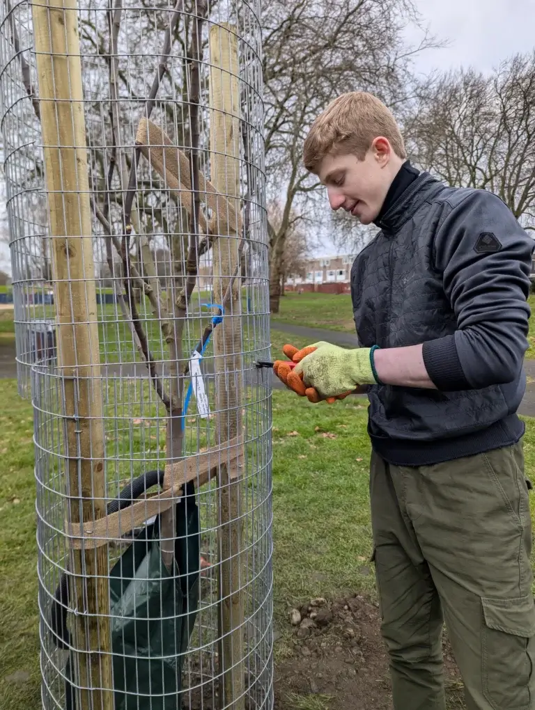 Birmingham TreePeople Volunteers
