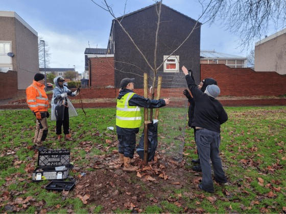 Birmingham TreePeople Feature