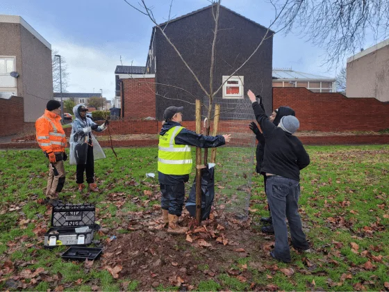 Birmingham TreePeople Feature